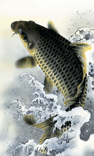 掛け軸 大昇鯉 森山観月 尺五