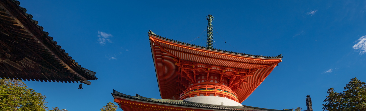 見る・出会う高野山 | 参りませう高野山へ