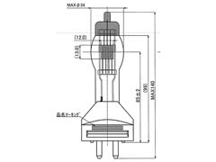 商品詳細 スタジオ用ハロゲンランプ JP100V1000WC/G-4 | 光洋電機 LED