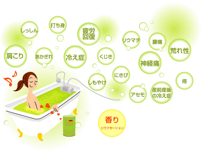 パインハイセンス　6缶 公式> KOYO WEB SHOP / パインハイセンス