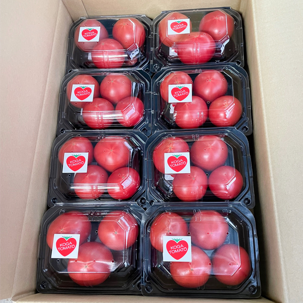 佐賀川副のトマトをお取り寄せ｜商品一覧