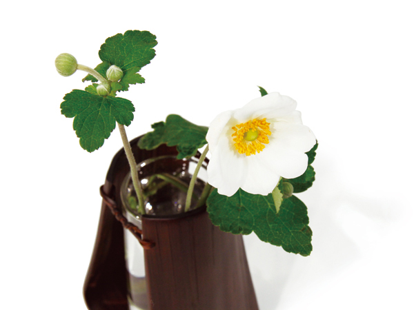 真竹のし花生け - 花かご - 定番商品 - 公長齋小菅