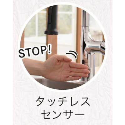 アラミック ナノバブルキッチンシャワー水栓 ［ワンホール］ WFN1 の