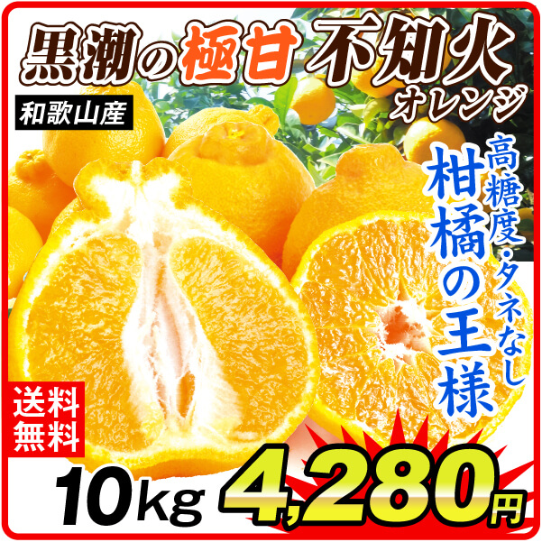 国華園オンラインショップ / みかん 10kg 黒潮の極甘 不知火 しらぬい