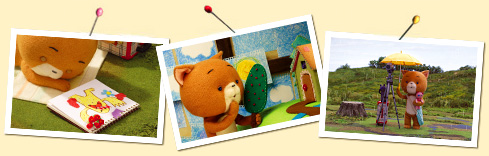 こまねこ|こまねこについて