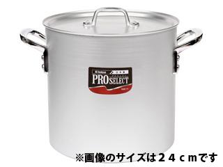 プロセレクト 寸胴鍋 21cm の通販 | ホームセンター コメリドットコム