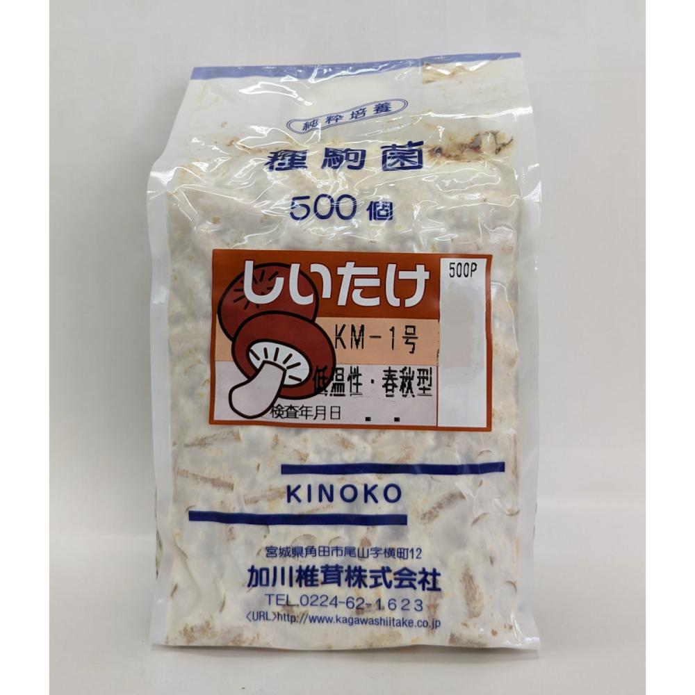 キノコ予約】 椎茸種駒 KM－1号 低温性・春秋型 500P 【申込