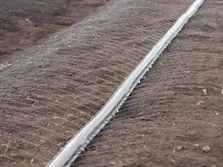 スミサンスイNEWマルチ100－03 200m の通販