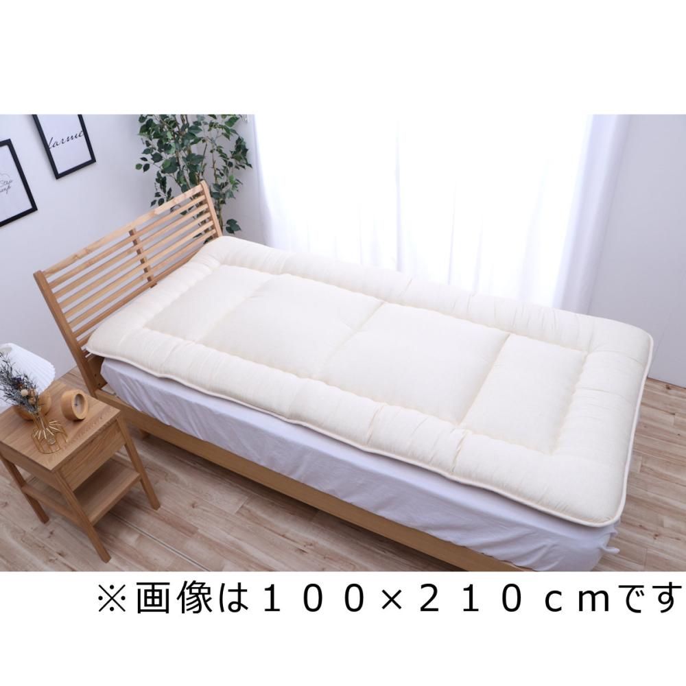 イケヒコ 滅ダニ敷布団 セミダブルロング 120×210cm の通販