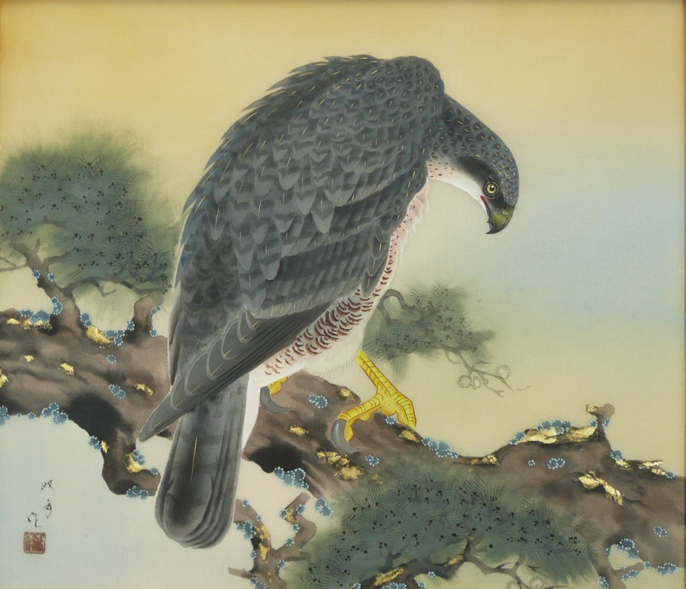 山田双年 『鷹』 日本画の販売 [古美術こもれび]