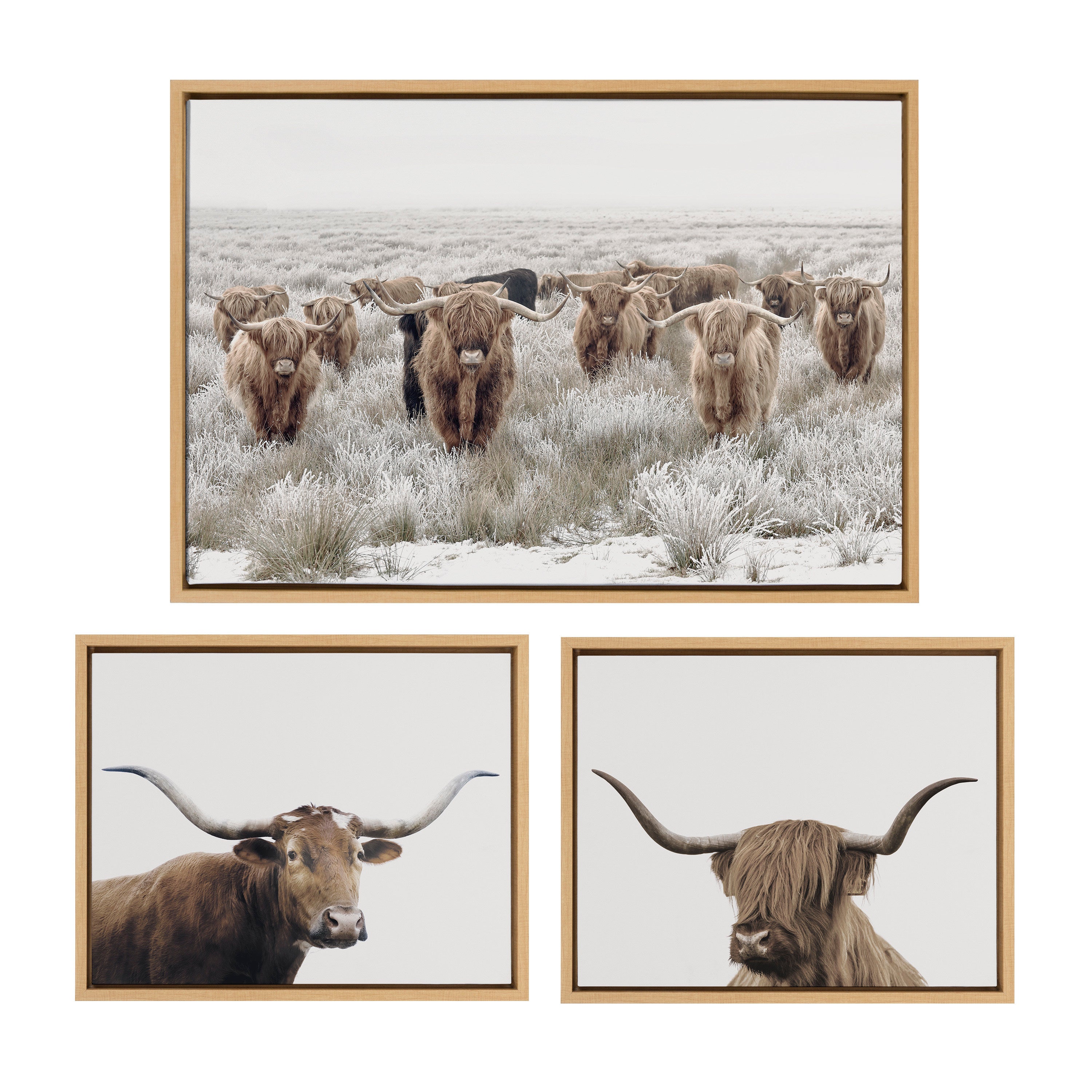 Kate and Laurel Sylvie Texas Longhorn Cow Farm Animal Art for Wall