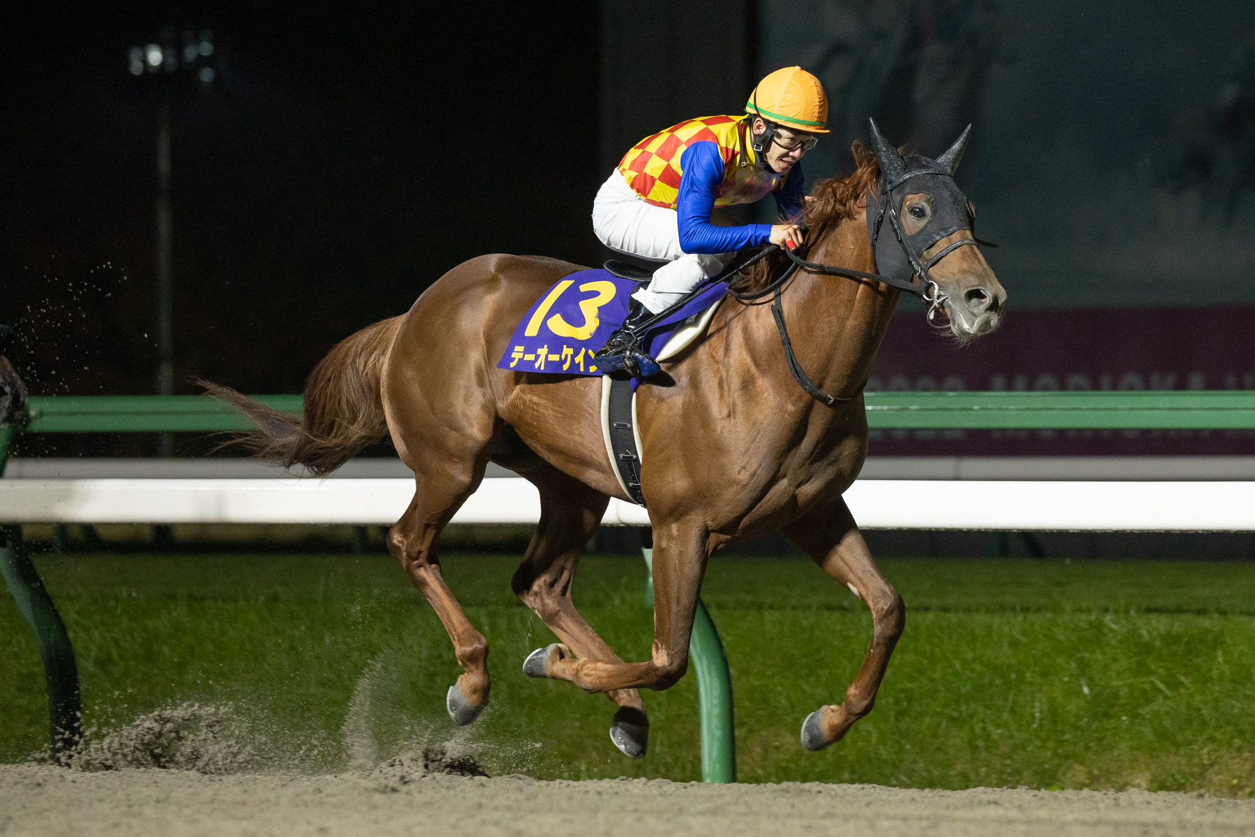 ☆第72回川崎記念(No.2469)まねき馬倶楽部レインボーカード◇15枚限定