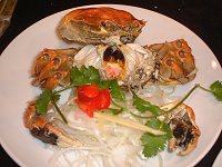 シャンハイガニ（上海蟹)【かぎけんWEB】