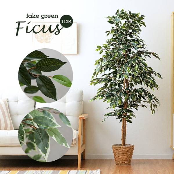 フェイクグリーン Ficus(フィカス) 1124 H170cm 2種対応の通販情報