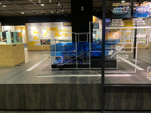 海遊館ミュージアム」開催中！｜海遊館とつながる｜海遊館