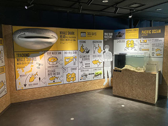 海遊館ミュージアム」開催中！｜海遊館とつながる｜海遊館