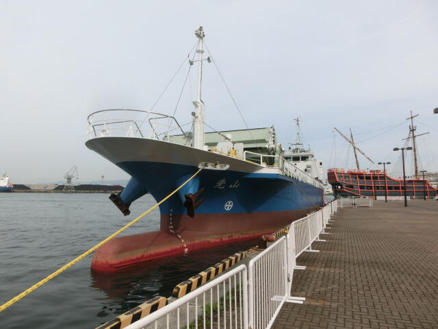 Welcome SENZAN（ようこそ先山）！｜海遊館とつながる｜海遊館