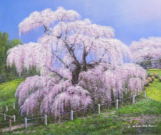 絵画 油絵 三春滝桜 （木村由記夫） 送料無料 【肉筆】【油絵】【桜絵