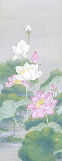 聖蓮花 広森 雄（尺五） 【全品送料無料】！ 蓮 - 掛け軸（掛軸）販売