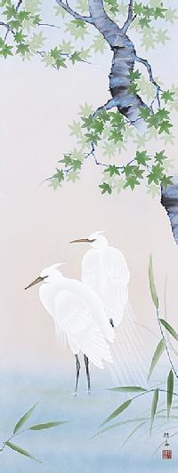楓に白鷺 長江桂舟 尺五 （夏） 日本製 夏 - 掛け軸（掛軸）販売通販