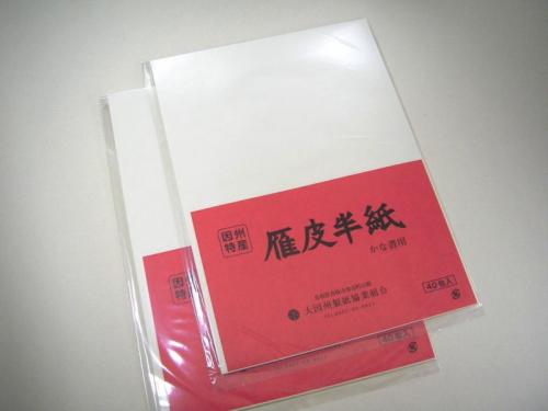 株式会社カミシマ / 因州機械漉半紙 「雁皮半紙」 40枚