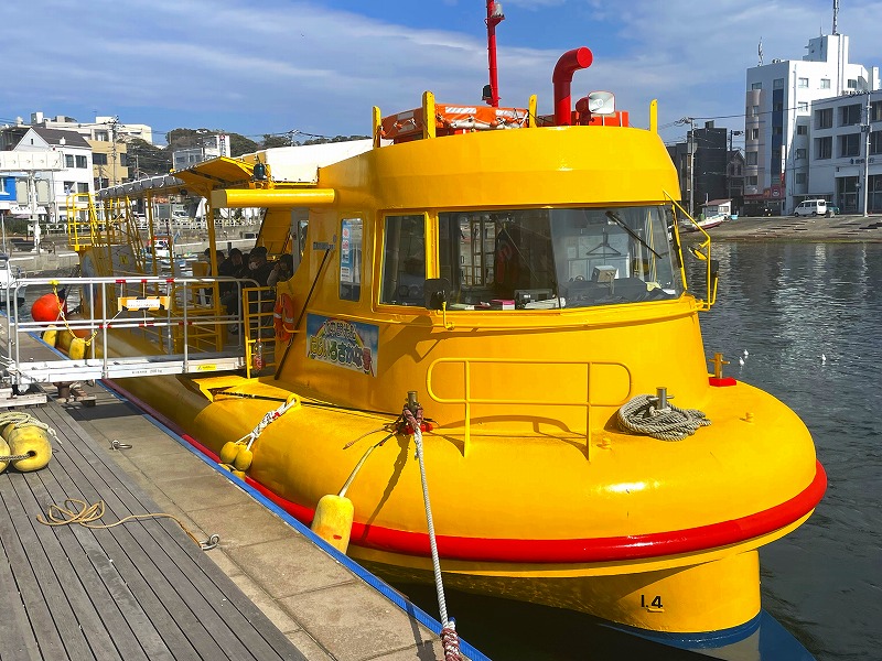 絶景体験 水中観光船にじいろさかな号（三浦） | カナロコ by 神奈川新聞