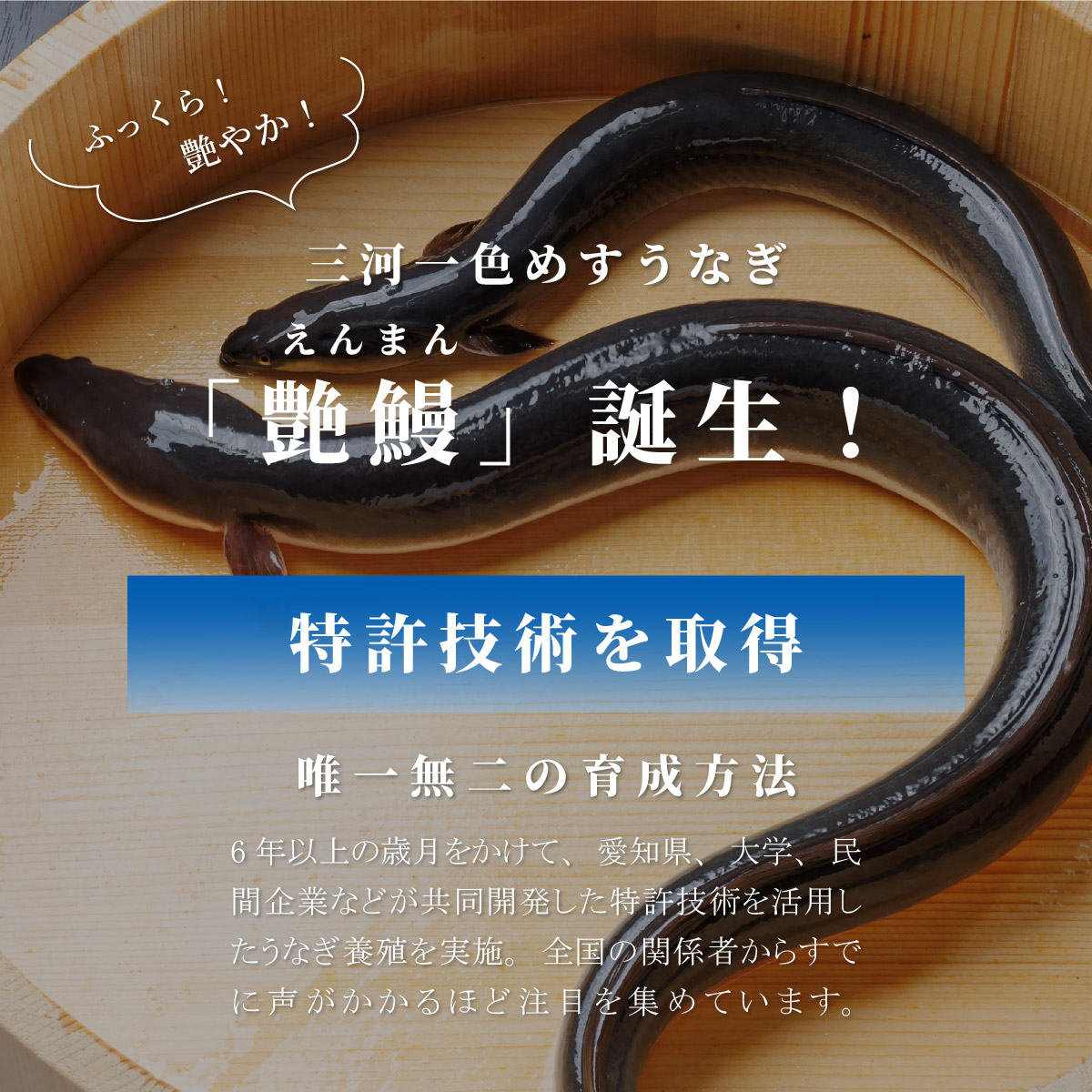 艶鰻 -ENMAN-】三河一色産 めす うなぎ 蒲焼 2尾400g タレ・山椒付き