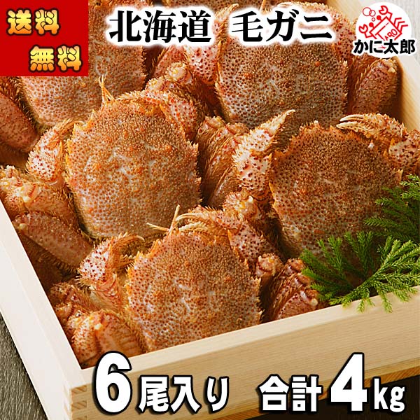 合計4kg分の大型の毛ガニ 北海道産 毛蟹 食べ放題