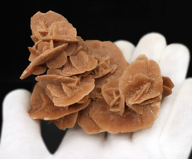 モロッコ・サハラ砂漠が生み出したアート、「砂漠のバラ（Desert Rose