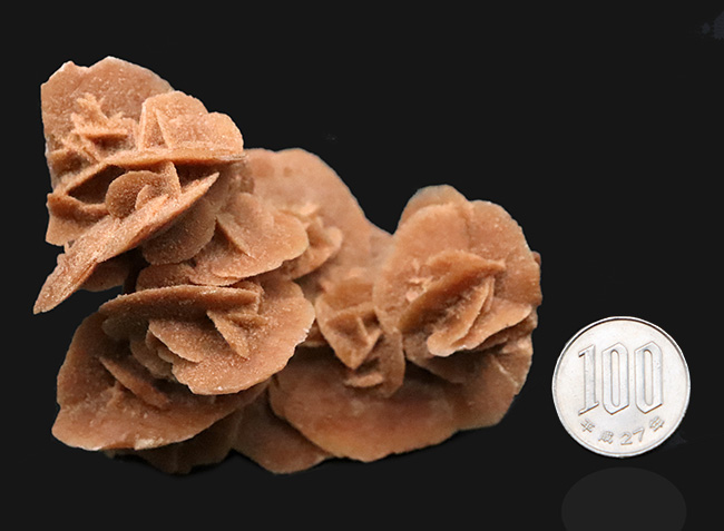 モロッコ・サハラ砂漠が生み出したアート、「砂漠のバラ（Desert Rose