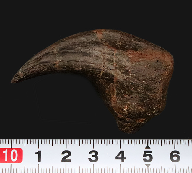 社史に残る1本！歴代トップクラス、いや、トップといって良い。極めて