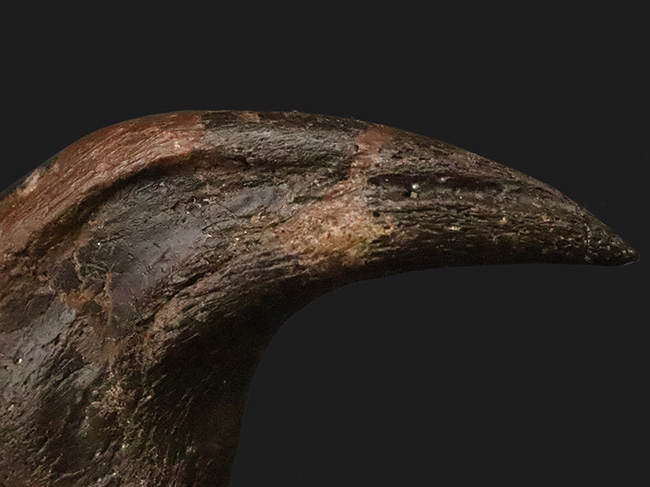 社史に残る1本！歴代トップクラス、いや、トップといって良い。極めて