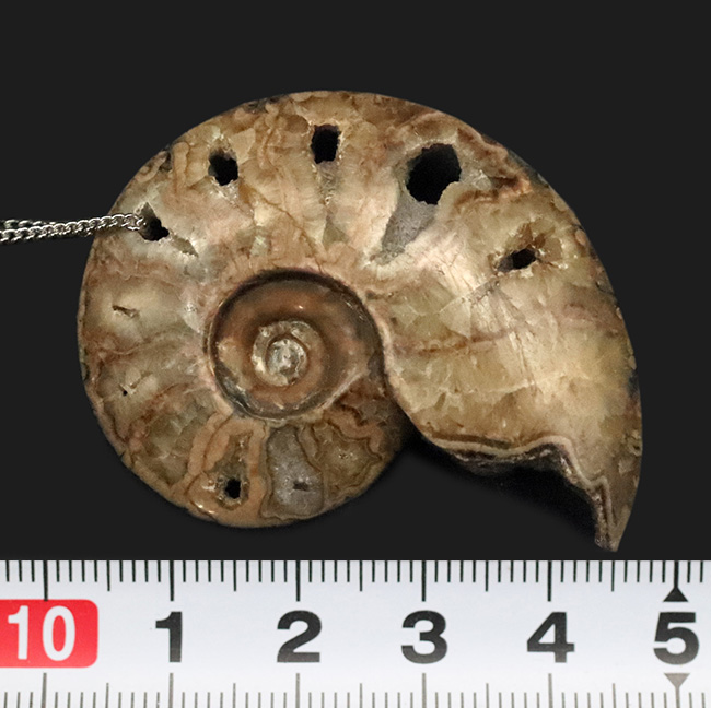 悠久の時を、あなたの日常に。大切な方へのプレゼントにもおすすめ