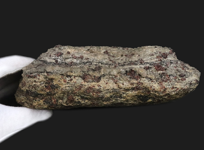 当時を偲ばせる写真のコピー付き！希少！かつての南極観測隊員が所有し