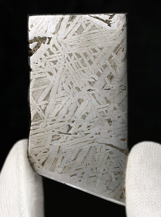 ムオニナルスタ（Muonionalusta）鉄隕石スライス標本 - 約100万年前に