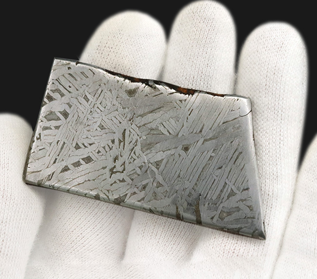 ムオニナルスタ（Muonionalusta）鉄隕石スライス標本 - 約100万年前に