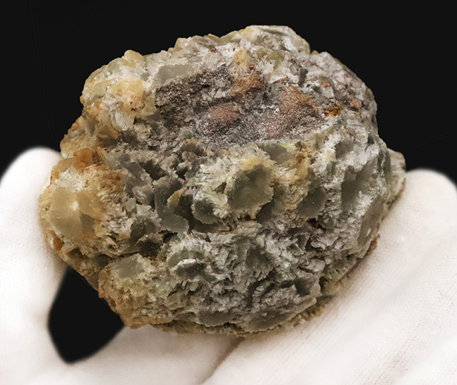 石の上に美しい「花」が咲き乱れた、現存数の限られる、未採掘産地