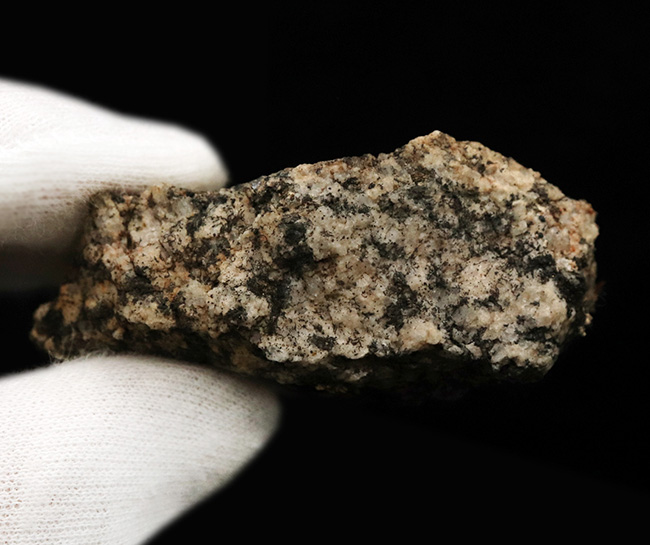 現在、最後の在庫！南極観測隊員が所有していた南極の石（オングル石