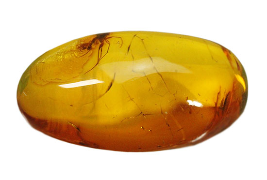 ロマンあふれる「蚊」を内包した美しい虫入り琥珀。 化石 販売