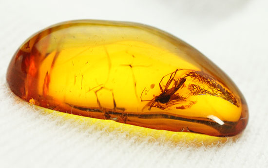 ロマンあふれる「蚊」を内包した美しい虫入り琥珀。 化石 販売
