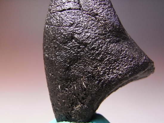 アロサウルスのフットクロウ 恐竜 販売