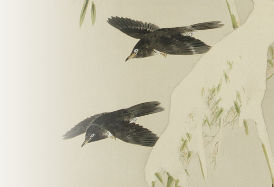 国際化と国鳥：春花鶏図 – 加島美術