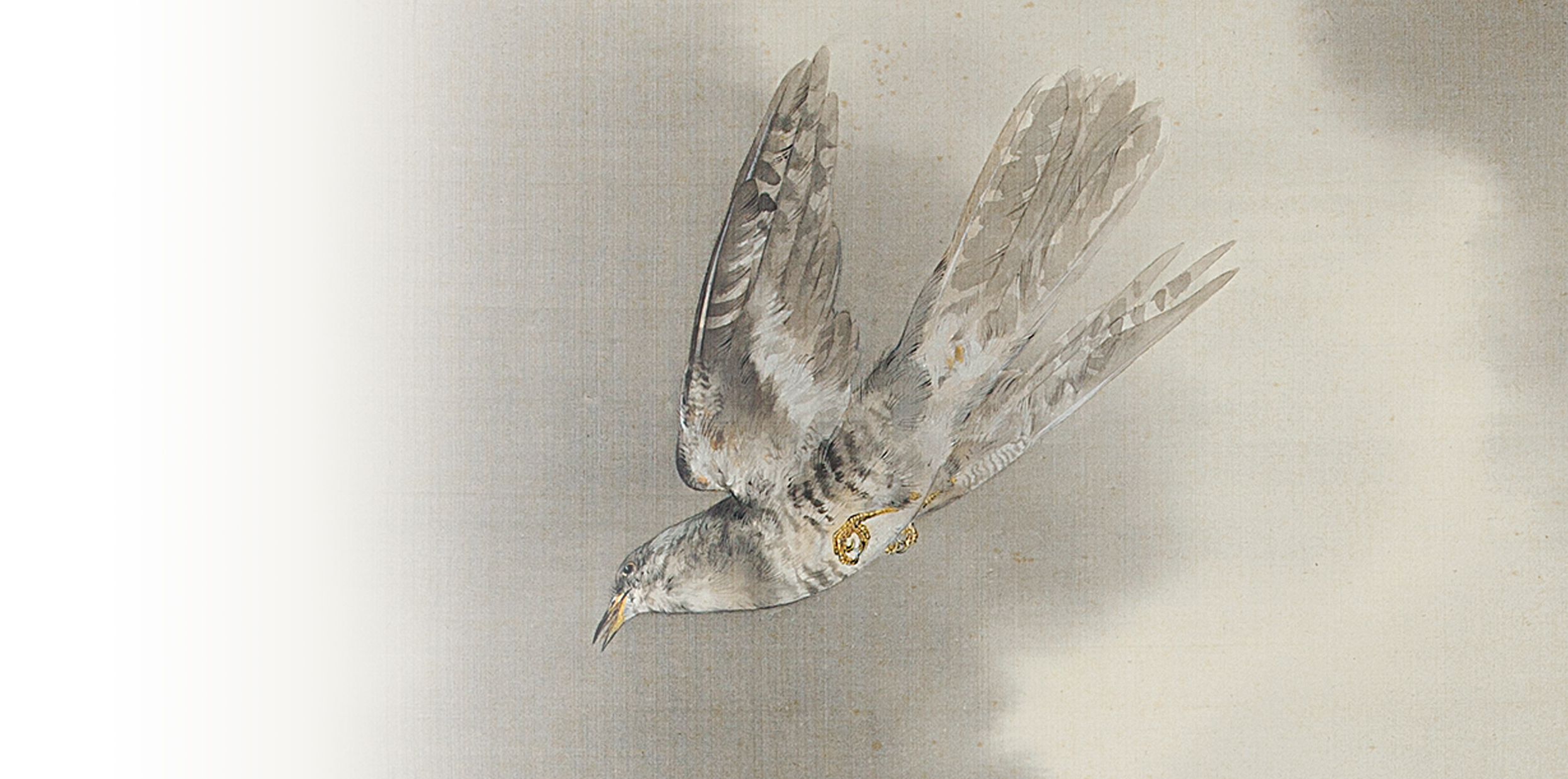 写真を超えた絵画：時鳥 – 加島美術