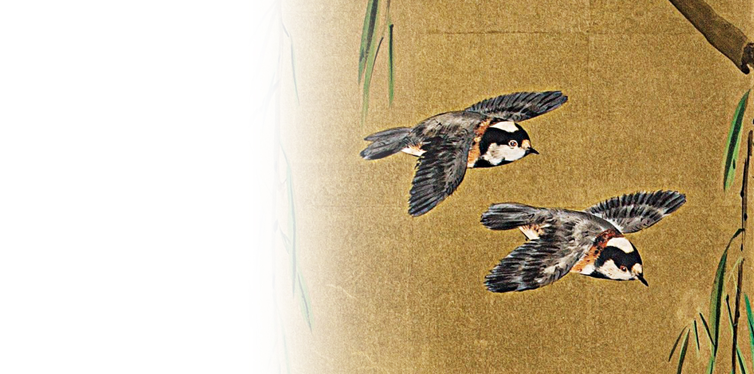 後頭部の思い込み：花鳥図屏風 – 加島美術