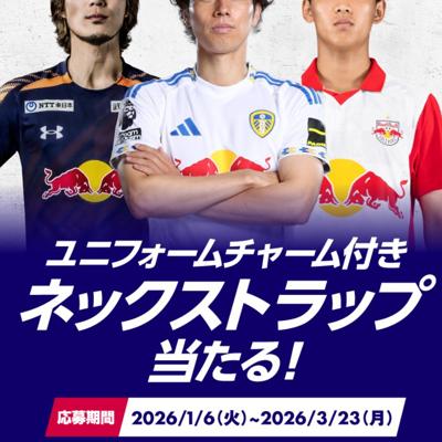 サントリー】ユニフォームチャーム付きネックストラップ当たる