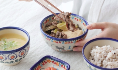 りんごボウル・ポーリッシュポタリー(ポーランド食器)