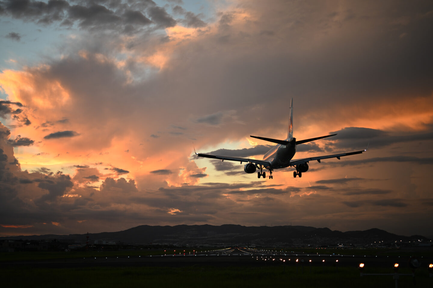 ニコン Z 8 レビュー｜飛行機モード“で”語り尽くす | ShaSha