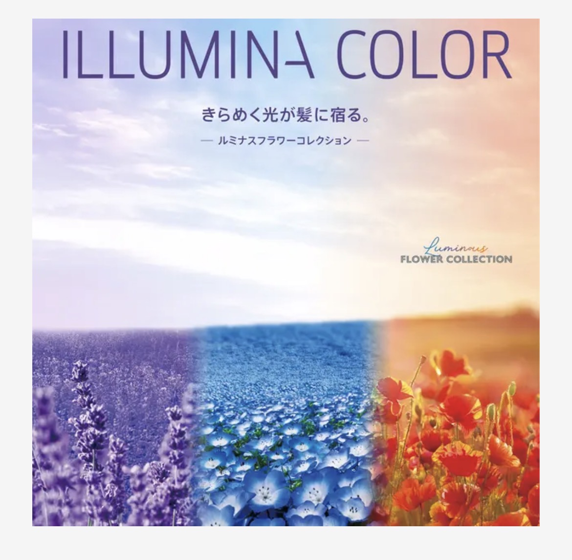 イルミナカラー新色💜💙🧡 | 美容室KINGDOM