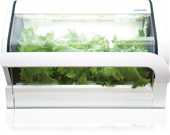 水耕栽培キット「やさい物語」の販売を開始 | ニュース 2019年