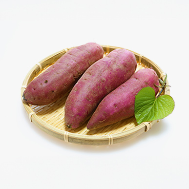 サツマイモ - 木下農園グループ | 木下農園グループ